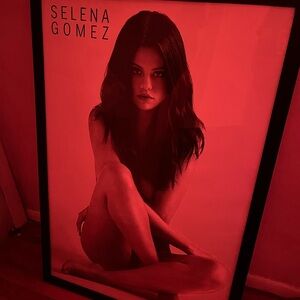 Selena Gomez Poster